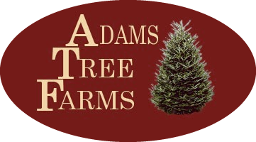 Adams Tree Farms- Christmas Trees & Landscaping Trees Amaranth ON