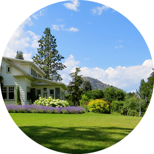 Dufferin County Landscaping Trees
