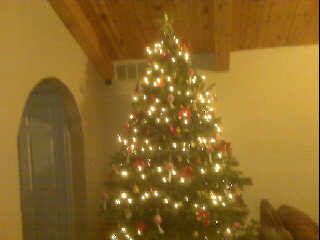 perfect christmas tree- shelburne, ontario